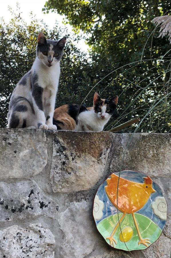 Casas Dos Infantes - Turismo Rural Caldas Da Rainha Bagian luar foto